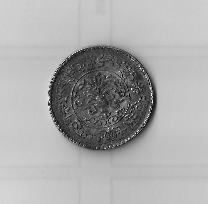 Tibetan-Coin